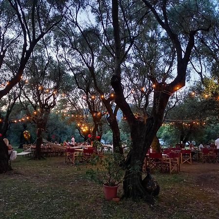 Antico Uliveto Guest House เซราเวซซา ภายนอก รูปภาพ