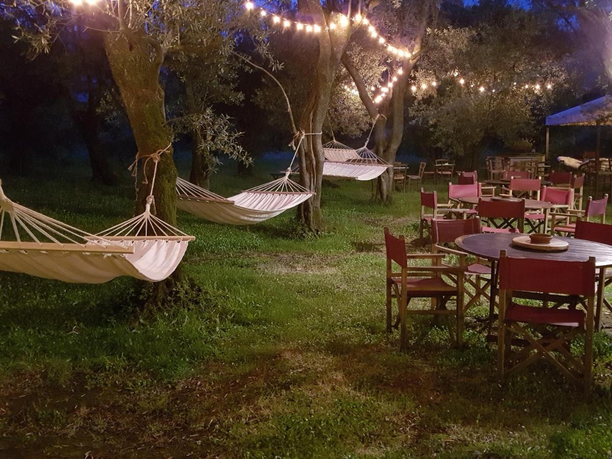 Antico Uliveto Guest House เซราเวซซา ภายนอก รูปภาพ