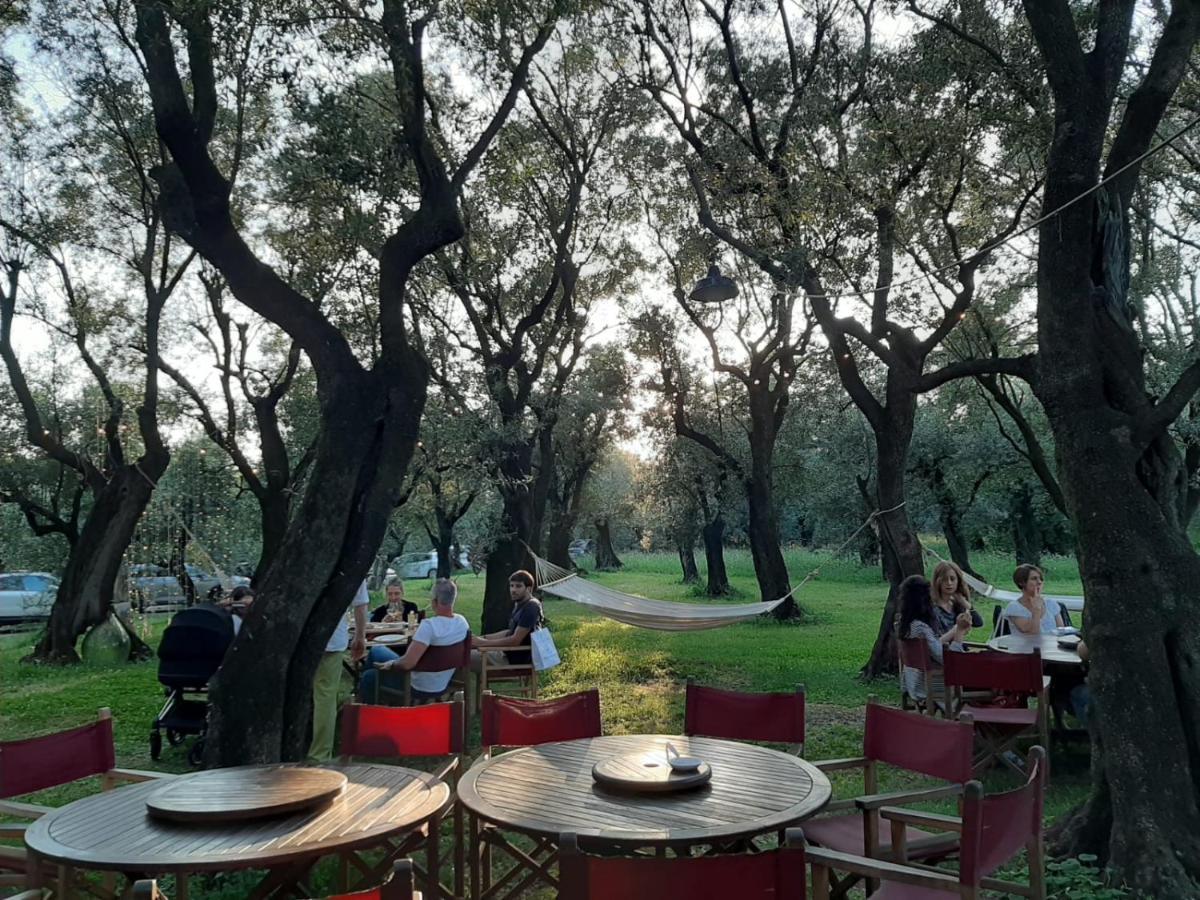 Antico Uliveto Guest House เซราเวซซา ภายนอก รูปภาพ