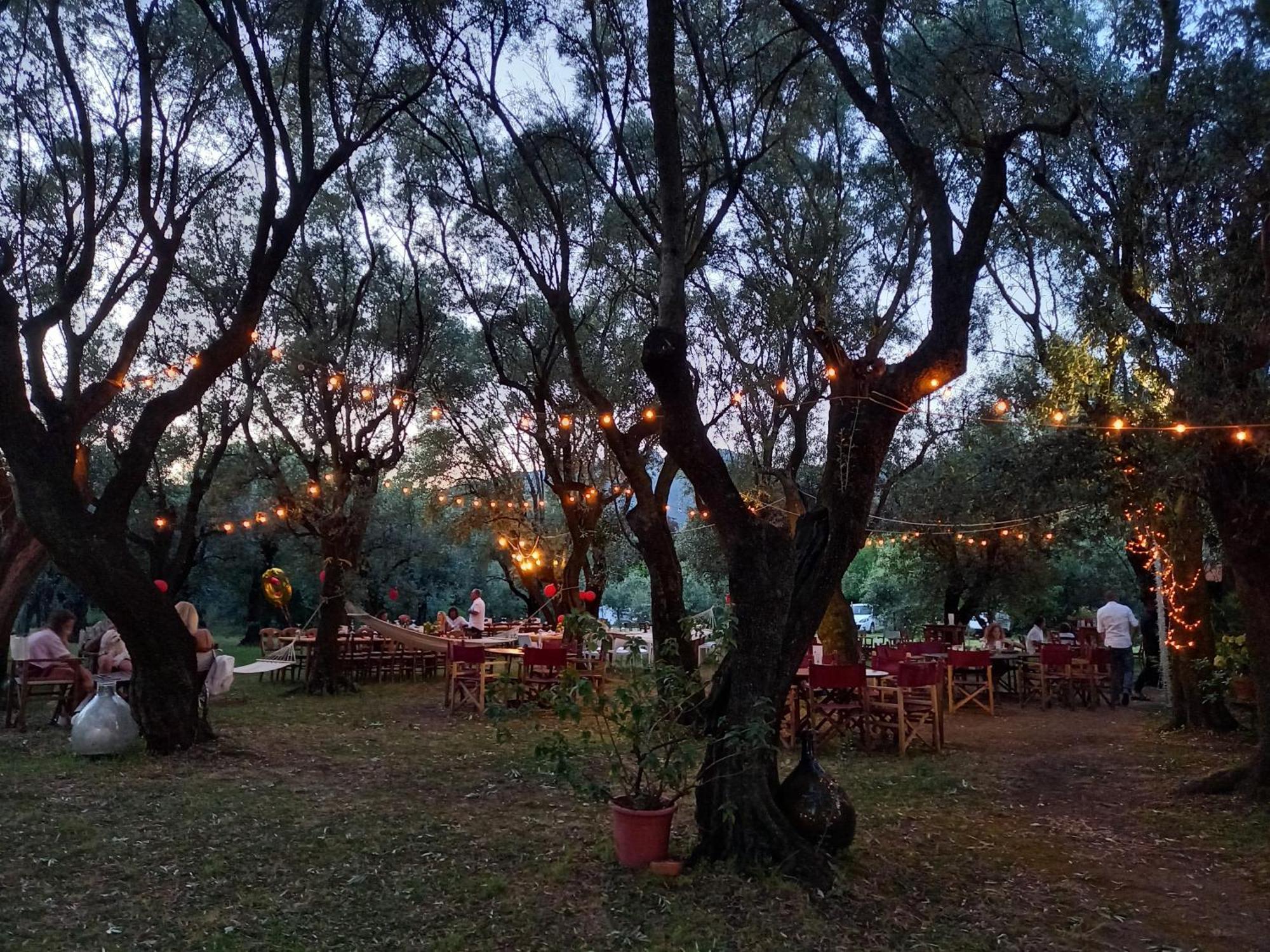 Antico Uliveto Guest House เซราเวซซา ภายนอก รูปภาพ