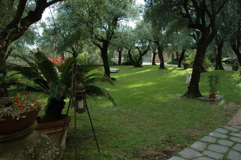 Antico Uliveto Guest House เซราเวซซา ภายนอก รูปภาพ