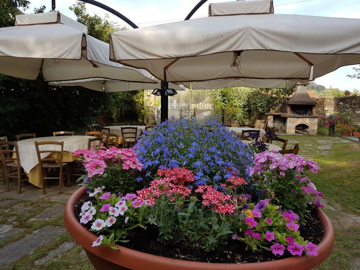 Antico Uliveto Guest House เซราเวซซา ภายนอก รูปภาพ