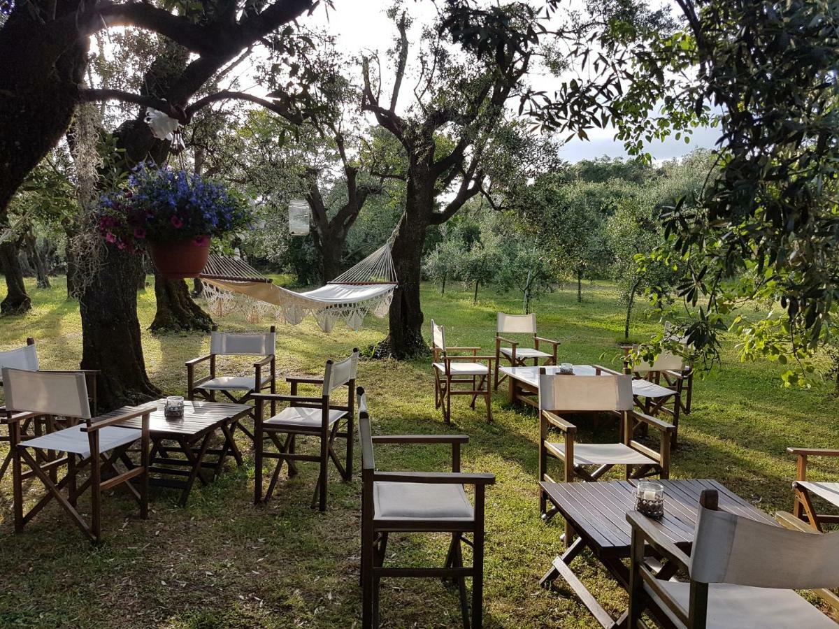 Antico Uliveto Guest House เซราเวซซา ภายนอก รูปภาพ